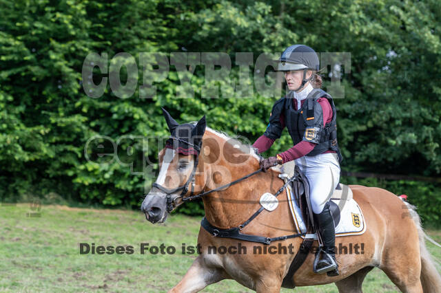 Goldene Schärpe 2021 - Ponys