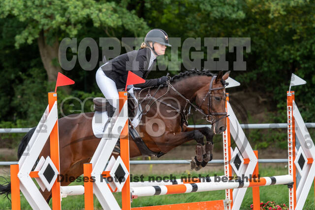 Late-Entry-Vielseitigkeit Langenfeld (06.+07.07.2020)