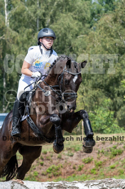 Late-Entry Vielseitigkeit Hamminkeln/Wesel (01.+02.08.2020)
