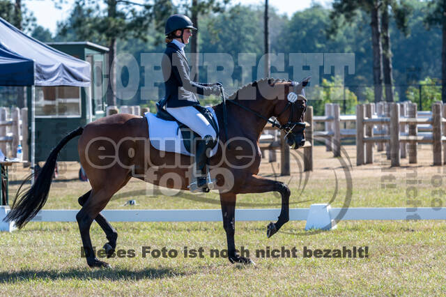 Kronenberg - De Peelbergen (August 2020)