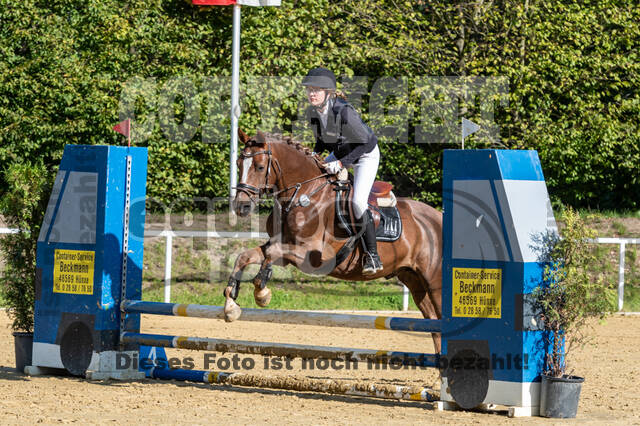 RFV Dinslaken-Hiesfeld (Herbstturnier)