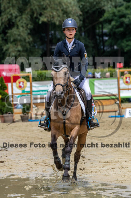 Goldene Schärpe 2021 - Ponys
