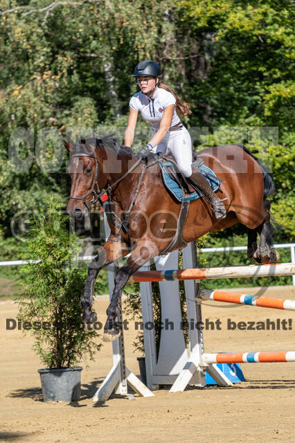 RFV Dinslaken-Hiesfeld (Herbstturnier)