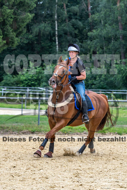 Hunter Geländetraining 10.07.2021 (Sonsbeck)