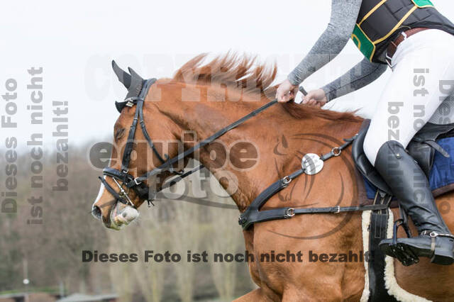 Frühjahrsvielseitigkeit RV Seydlitz Kamp