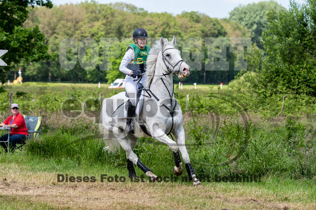 Westerstede Horse Trials (10.-13.06.2021)