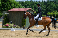 Westerstede Horse Trials 2021