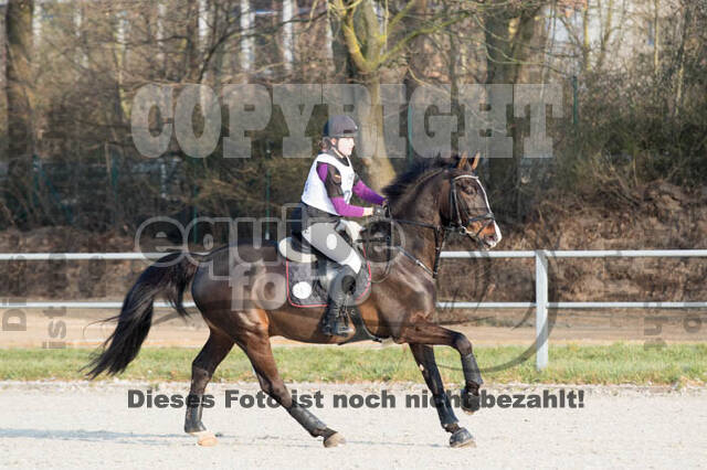 Eventing Langenfeld 2018