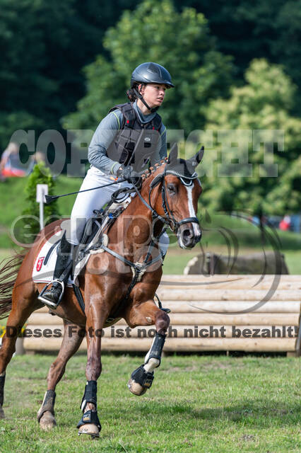 Goldene Schärpe 2021 - Ponys