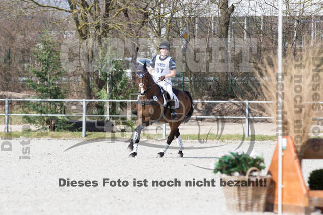 Eventing Langenfeld 2018