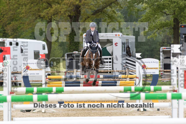 Sterne über Münster 2019 - CCI***S