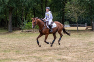 Late-Entry Vielseitigkeit Hamminkeln/Wesel (01.+02.08.2020)