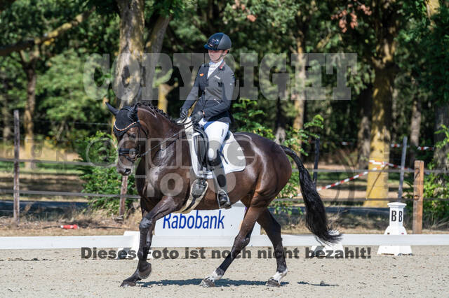 Kronenberg - De Peelbergen (August 2020)