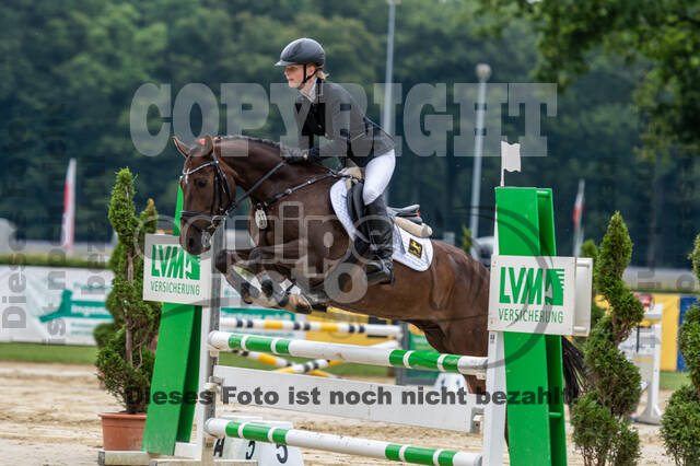 Goldene Schärpe 2021 - Ponys