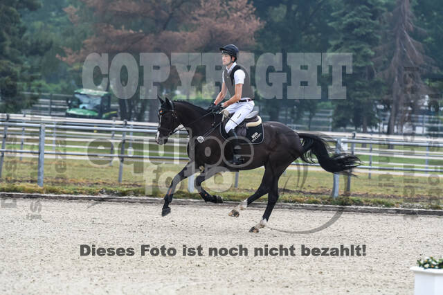 Late-Entry-Vielseitigkeit Langenfeld (11.+13./14.06.2020)