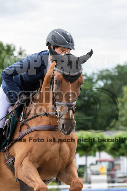 Late-Entry-Vielseitigkeit Langenfeld (06.+07.07.2020)