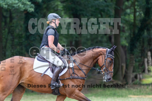 Late-Entry Vielseitigkeit Hamminkeln/Wesel (01.+02.08.2020)
