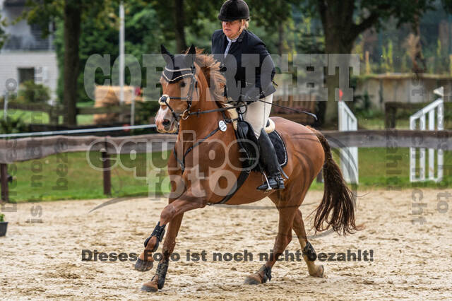 Vielseitigkeit RSV Wesel Obrighoven (26.+27.09.2020)