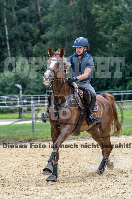 Hunter Geländetraining 10.07.2021 (Sonsbeck)