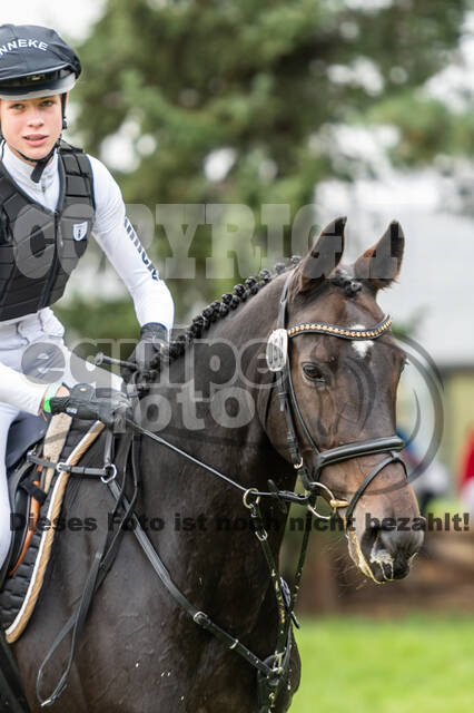 Goldene Schärpe 2020 - Pferde