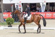 FEI European Championship Eventing 2017