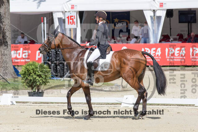 FEI European Championship Eventing 2017