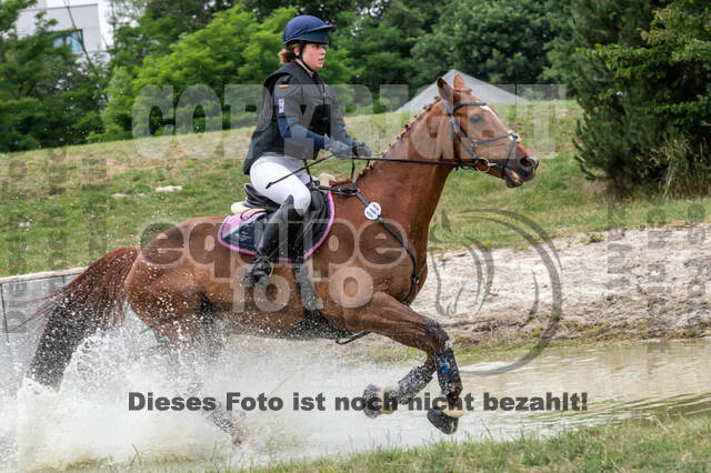 Late-Entry-Vielseitigkeit Langenfeld (11.+13./14.06.2020)