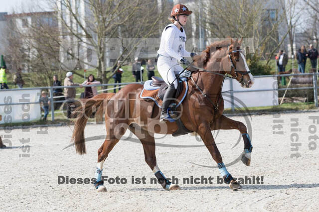 Eventing Langenfeld 2018
