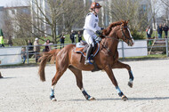 Eventing Langenfeld 2018