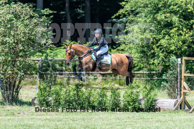 Goldene Schärpe 2021 - Ponys