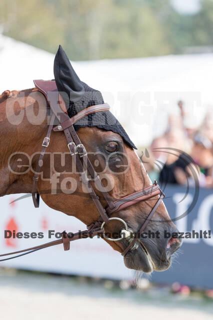 FEI European Championship Eventing 2019