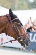 FEI European Championship Eventing 2019