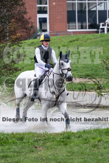 Goldene Schärpe 2020 - Pferde