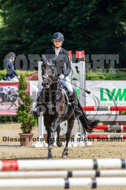 Goldene Schärpe 2021 - Ponys