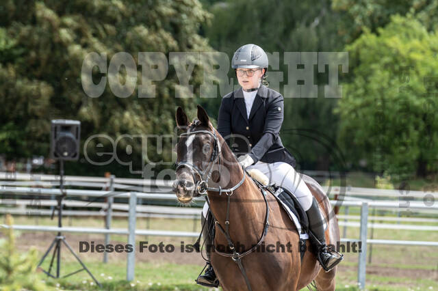 Late-Entry-Vielseitigkeit Langenfeld (06.+07.07.2020)