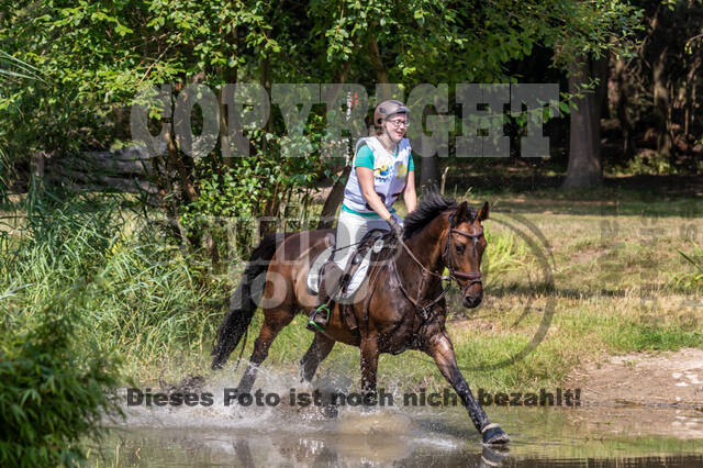 Late-Entry Vielseitigkeit Hamminkeln/Wesel (01.+02.08.2020)