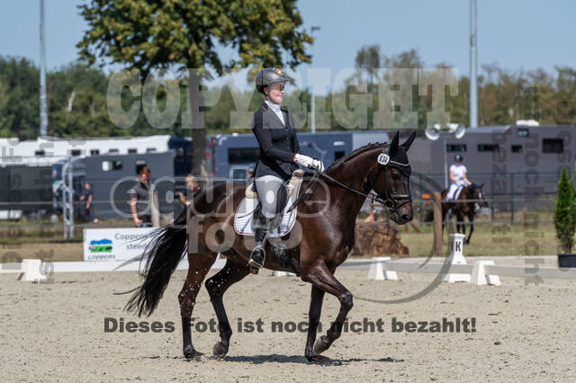 Kronenberg - De Peelbergen (August 2020)