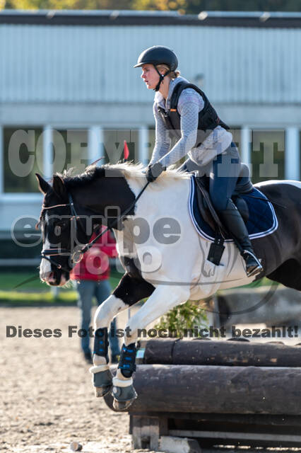 IGV Lehrgang der Sieger der Cups mit Frank Ostholt