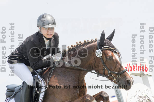 Vielseitigkeitsturnier ZRuFV von Lützow Hamminkeln