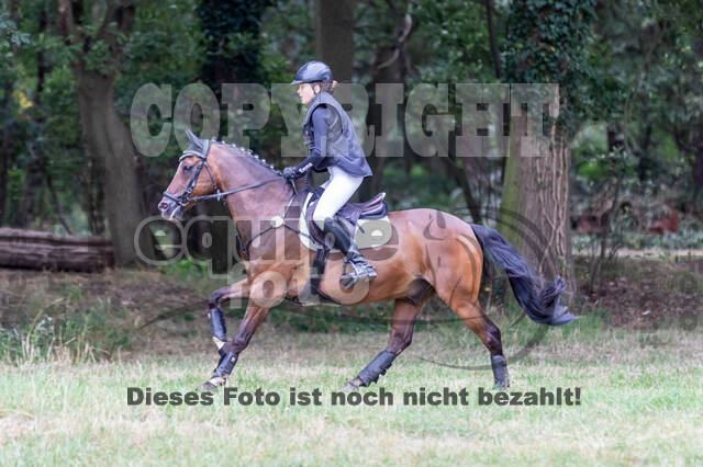 Late-Entry Vielseitigkeit Hamminkeln/Wesel (01.+02.08.2020)