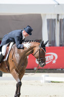 European Championship Eventing 2017