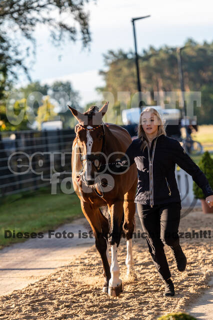 Deutsche Meisterschaft Vielseitigkeit (Luhmühlen)