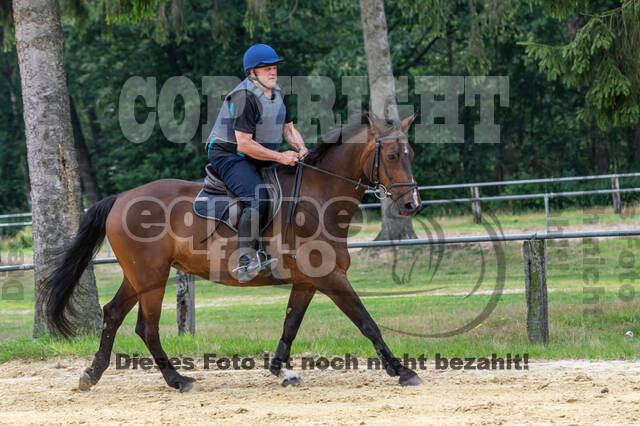 Hunter Geländetraining 10.07.2021 (Sonsbeck)