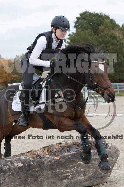 IGV Lehrgang der Sieger der Cups mit Frank Ostholt