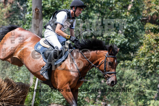 De Peelbergen (August 2020)