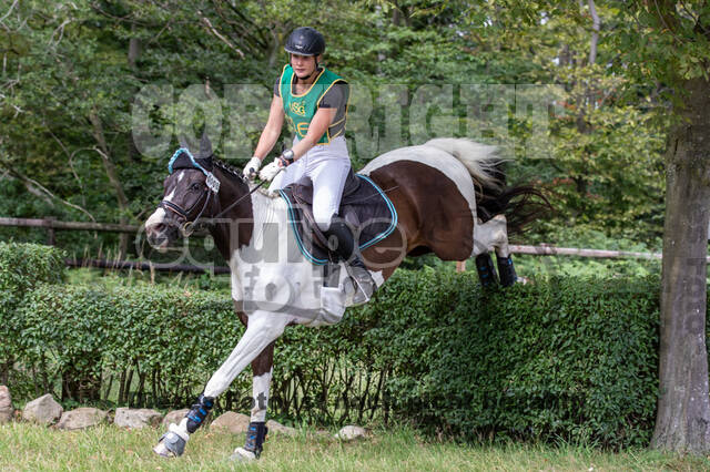 Late-Entry-Vielseitigkeit Gahlen (18.07.2020)