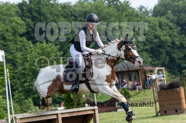 Goldene Schärpe 2021 - Ponys