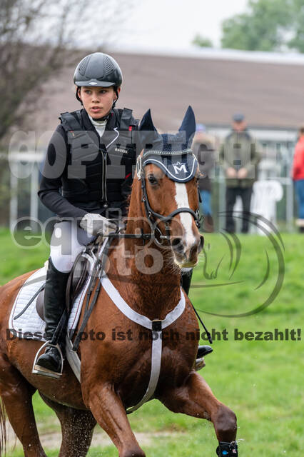 Goldene Schärpe 2020 - Pferde