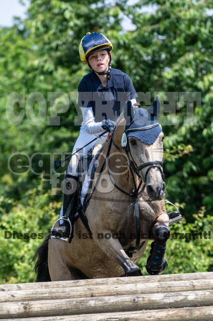 Goldene Schärpe 2021 - Ponys