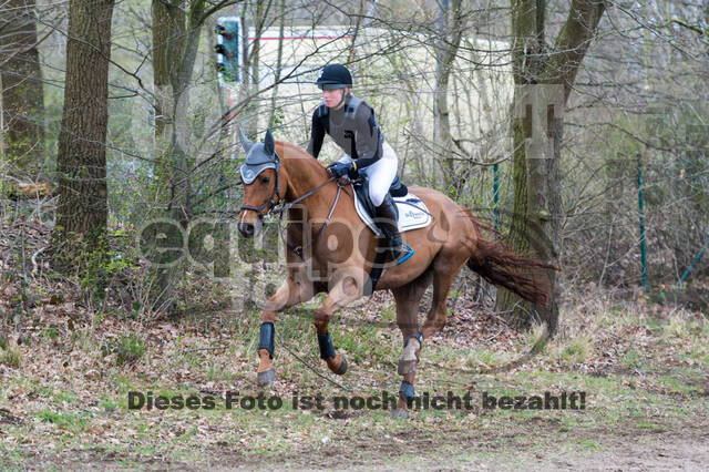 Eventing im Pferdesportzentrum Rheinland (Late Entry 14.03.2022)